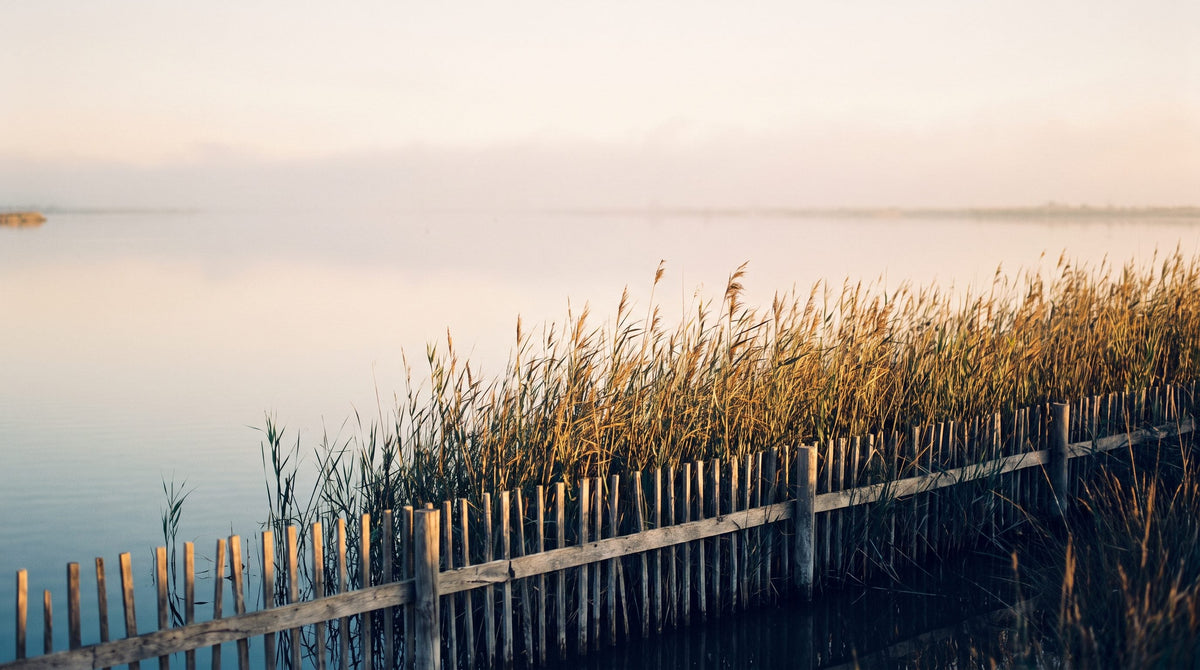 Croix de Camargue : signification et histoire