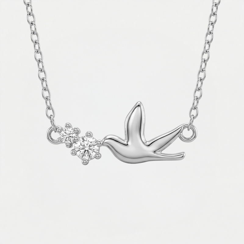 Collier Saint Esprit, argenté, sur fond blanc