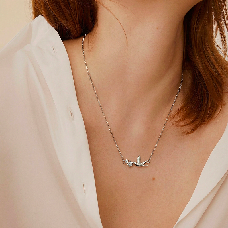 Collier Saint Esprit, porté au cou