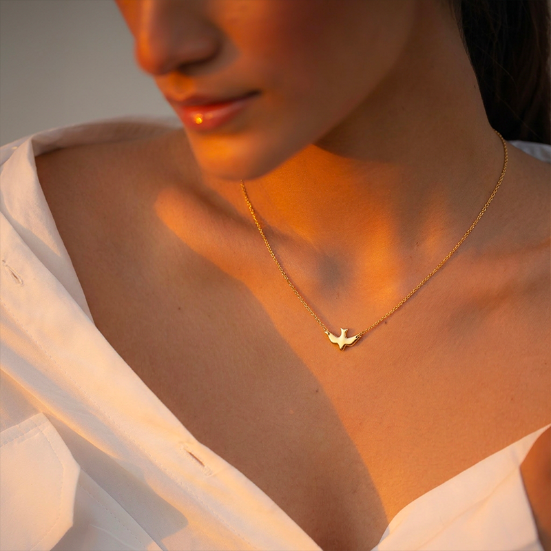 Collier colombe Saint Esprit, porté au cou