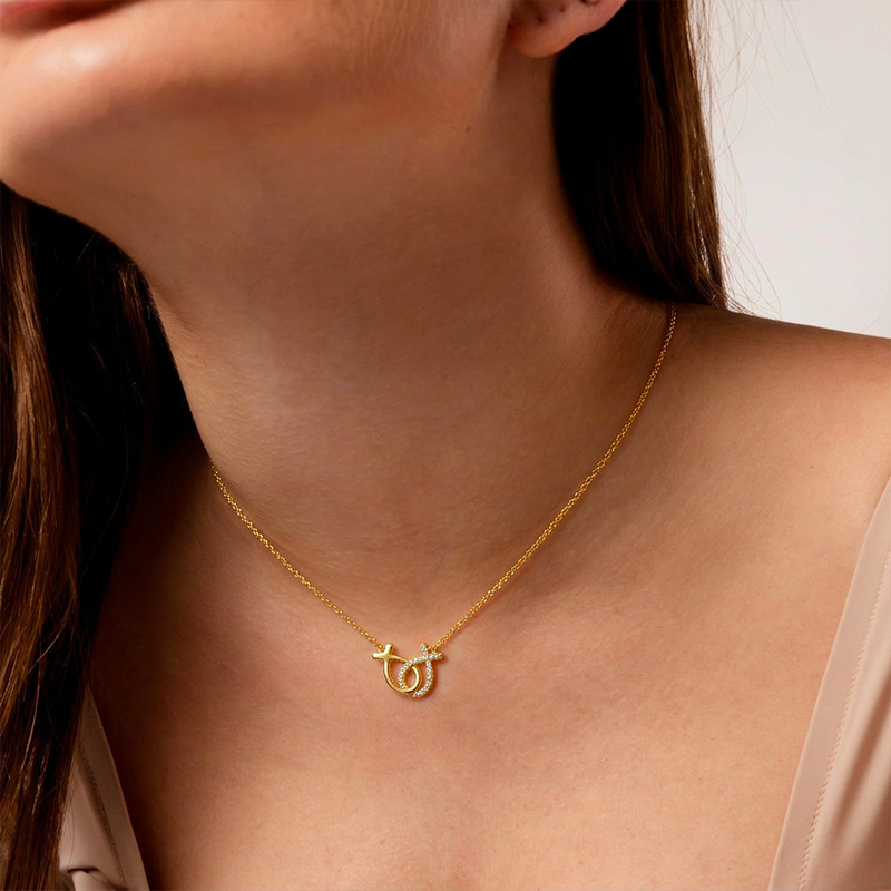 Collier poisson chrétien argent, porté au cou